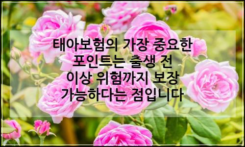 오늘의 이미지