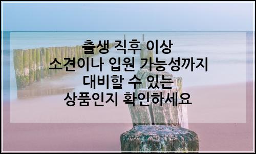 오늘의 이미지