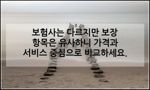오늘의 이미지
