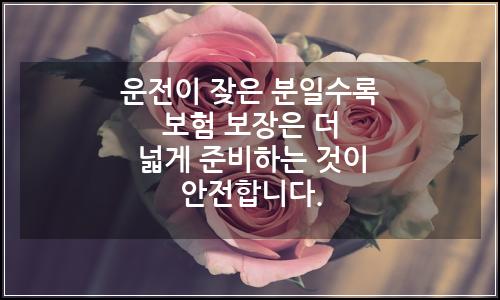 오늘의 이미지