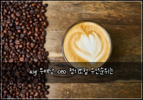 aig 무배당 ceo 정기보험 우선순위는 