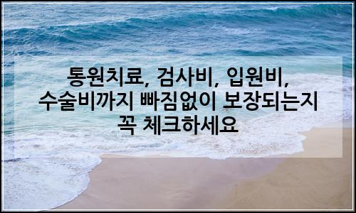 오늘의 이미지