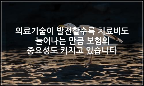 오늘의 이미지