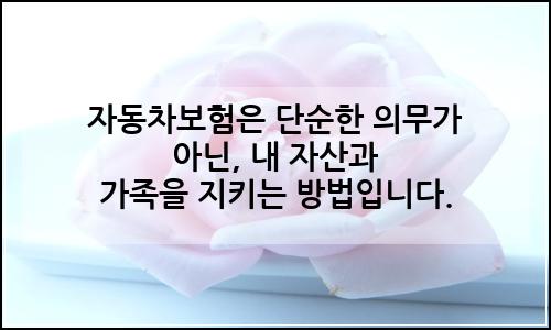 오늘의 이미지