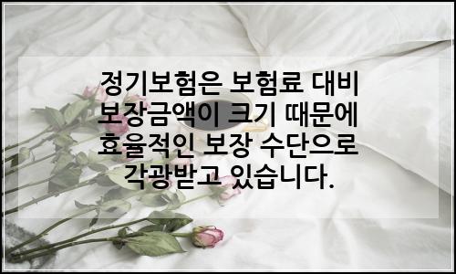 오늘의 이미지