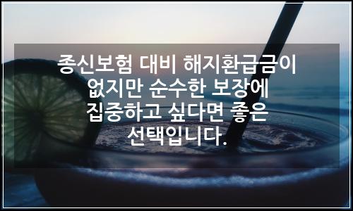 오늘의 이미지