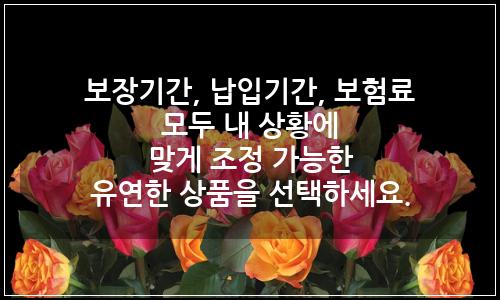 오늘의 이미지
