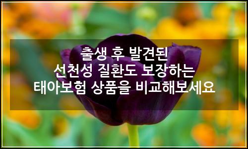 오늘의 이미지