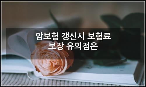오늘의 이미지