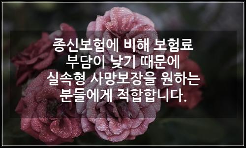 오늘의 이미지