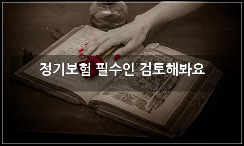 오늘의 이미지