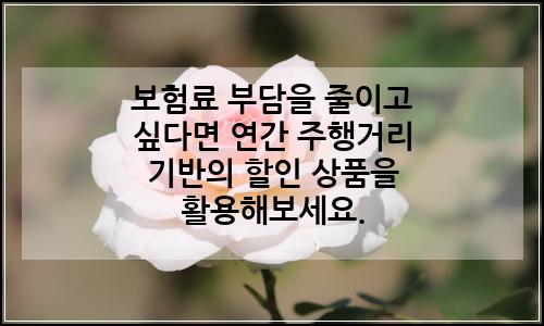오늘의 이미지