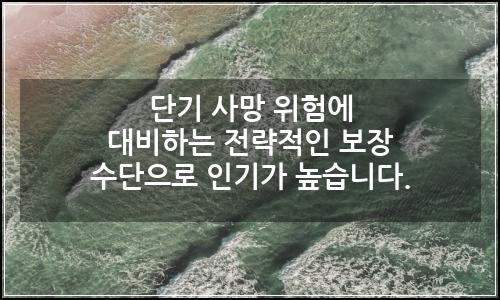 오늘의 이미지