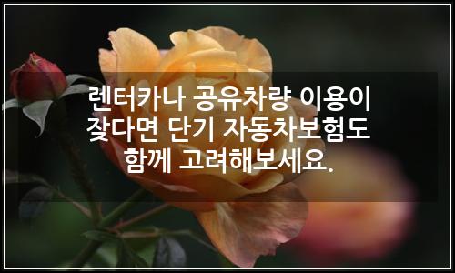 오늘의 이미지