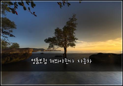 명품보험 해봐야한다  자동차 