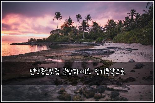변액종신보험 금방하세요  정기특약으로