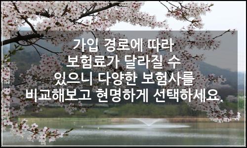 오늘의 이미지