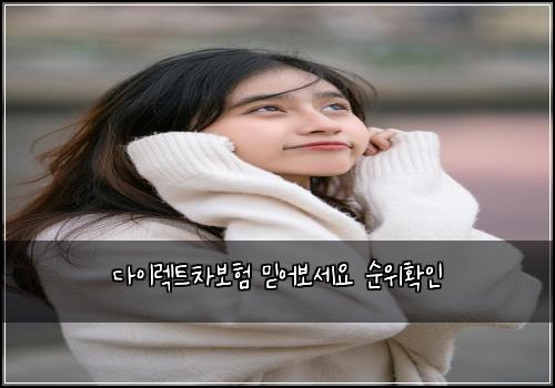 다이렉트차보험 믿어보세요  순위확인