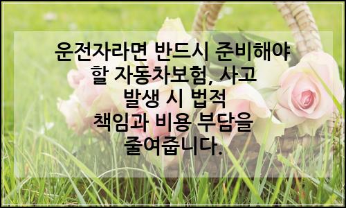 오늘의 이미지