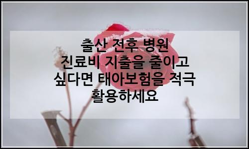 오늘의 이미지