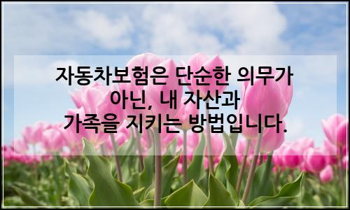 오늘의 이미지