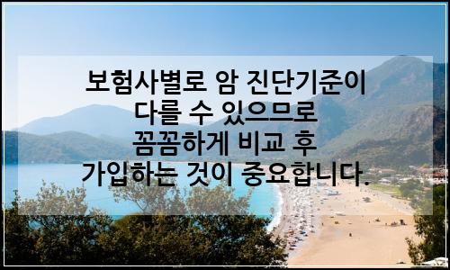 오늘의 이미지