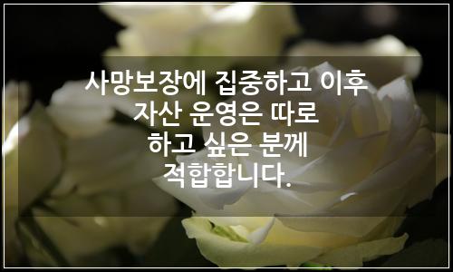오늘의 이미지
