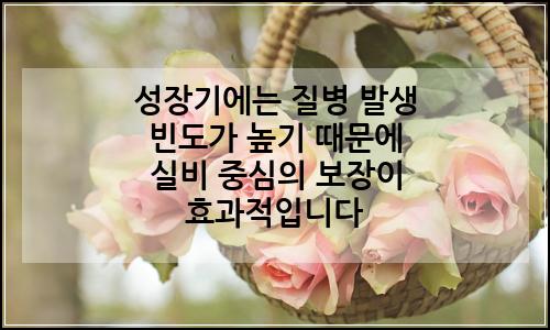 오늘의 이미지