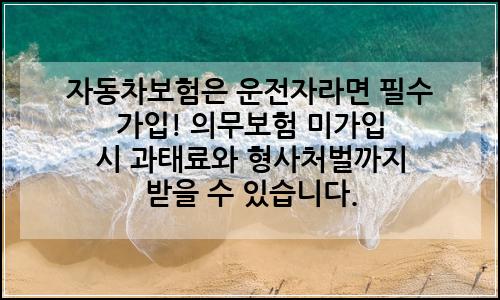 오늘의 이미지