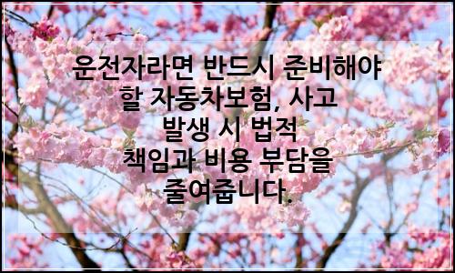 오늘의 이미지