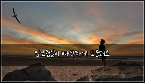 암보험실비 빠삭하게 도움돼요