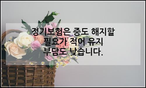 오늘의 이미지