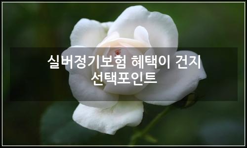 오늘의 이미지