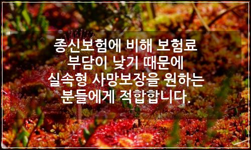 오늘의 이미지