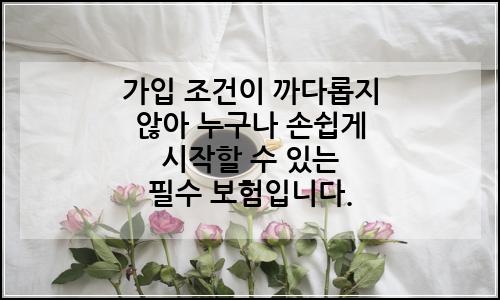 오늘의 이미지