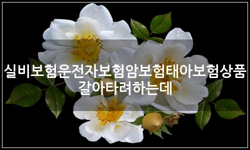 오늘의 이미지