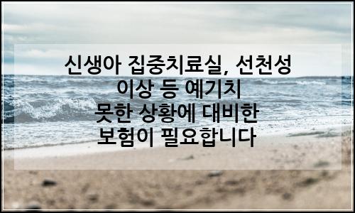 오늘의 이미지