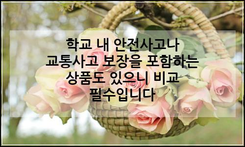 오늘의 이미지