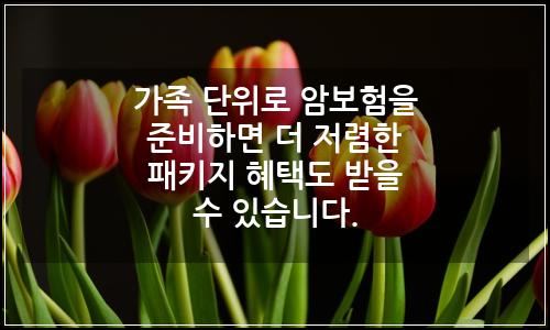 오늘의 이미지