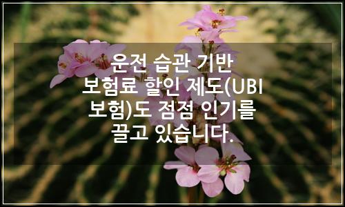 오늘의 이미지
