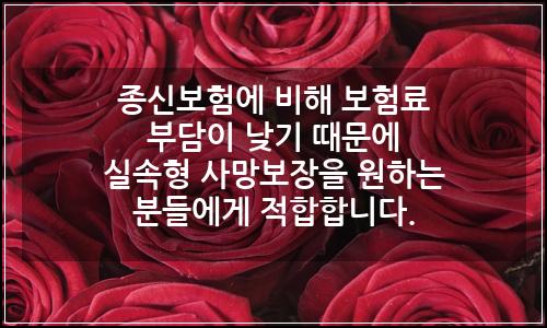 오늘의 이미지