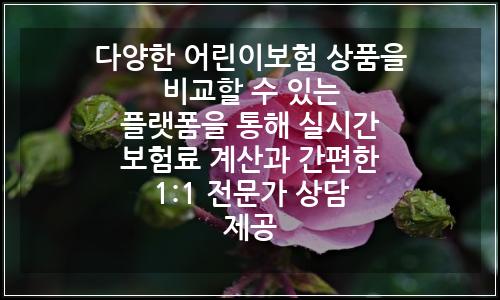 오늘의 이미지