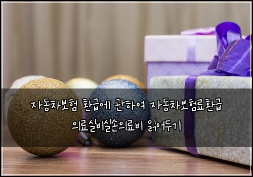 자동차보험 환급에 관하여 자동차보험료환급 의료실비실손의료비 읽어두기
