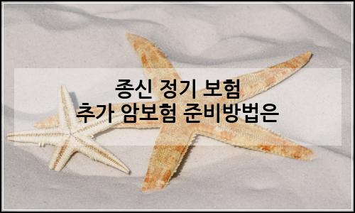 오늘의 이미지