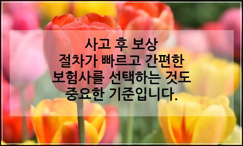 오늘의 이미지