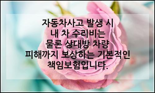 오늘의 이미지