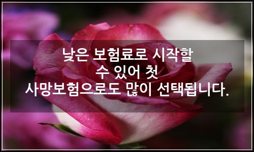 오늘의 이미지