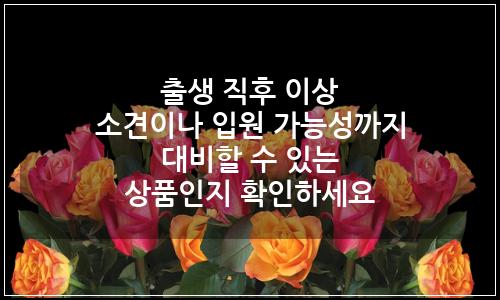 오늘의 이미지