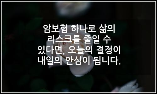 오늘의 이미지