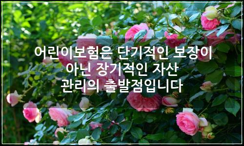 오늘의 이미지